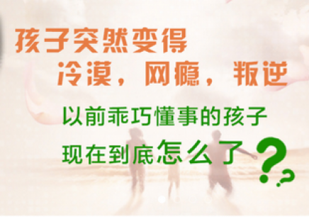 徐州陪伴式青少年行为矫正培训班