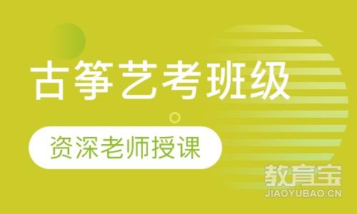 古筝艺考班级