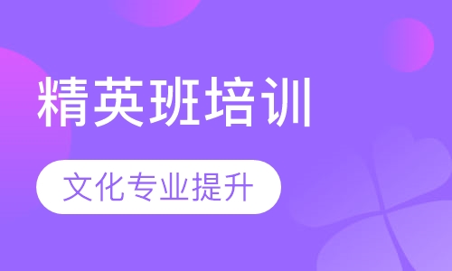 艺考精英班培训