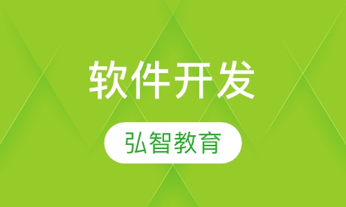 软件开发