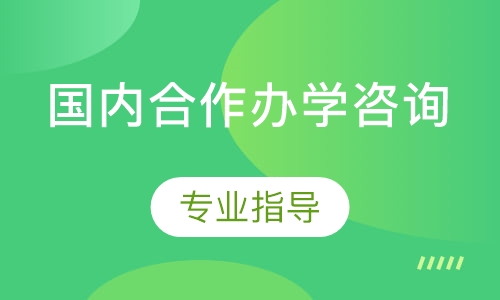 国内合作办学咨询
