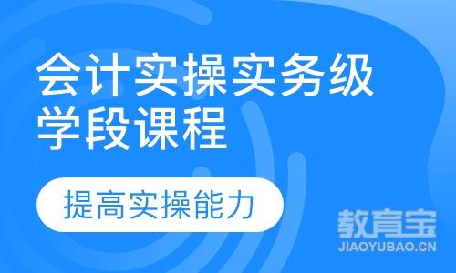 会计实操实务级学段课程