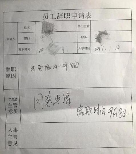 “95后”辞职理由惊呆HR：我要像风一样自由